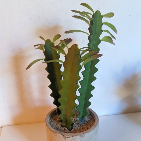 NWT Ashland Faux Triple Succulent Plant As-Is Pot Floral Michael's Desert Summer - Picture 2 of 10